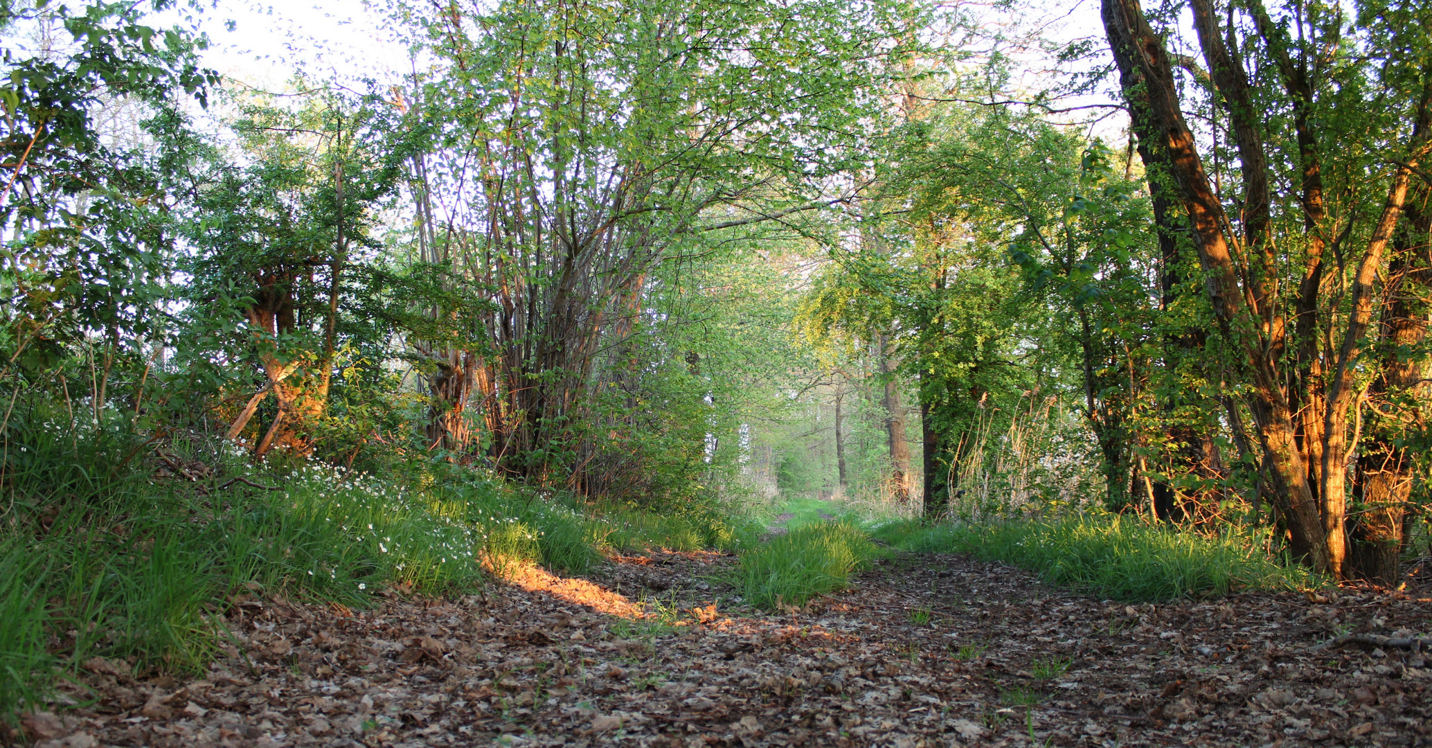 auf dem Weg zum Mühlenbach ... 