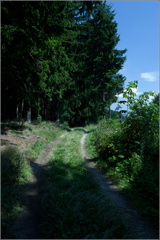 Auf dem Weg zum Naturparkhaus