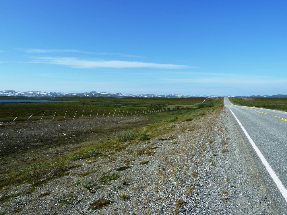 Auf dem Weg zum Nordkapp ... geht es geradeaus!