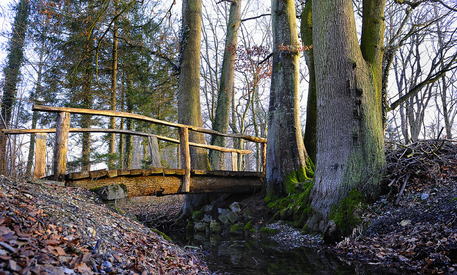 auf dem Weg zum Paradies