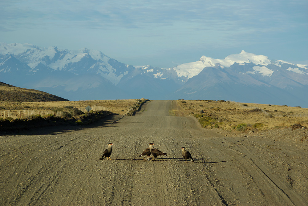 auf dem Weg zum Perito Moreno