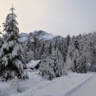 Auf dem Weg zum Pilatus  1