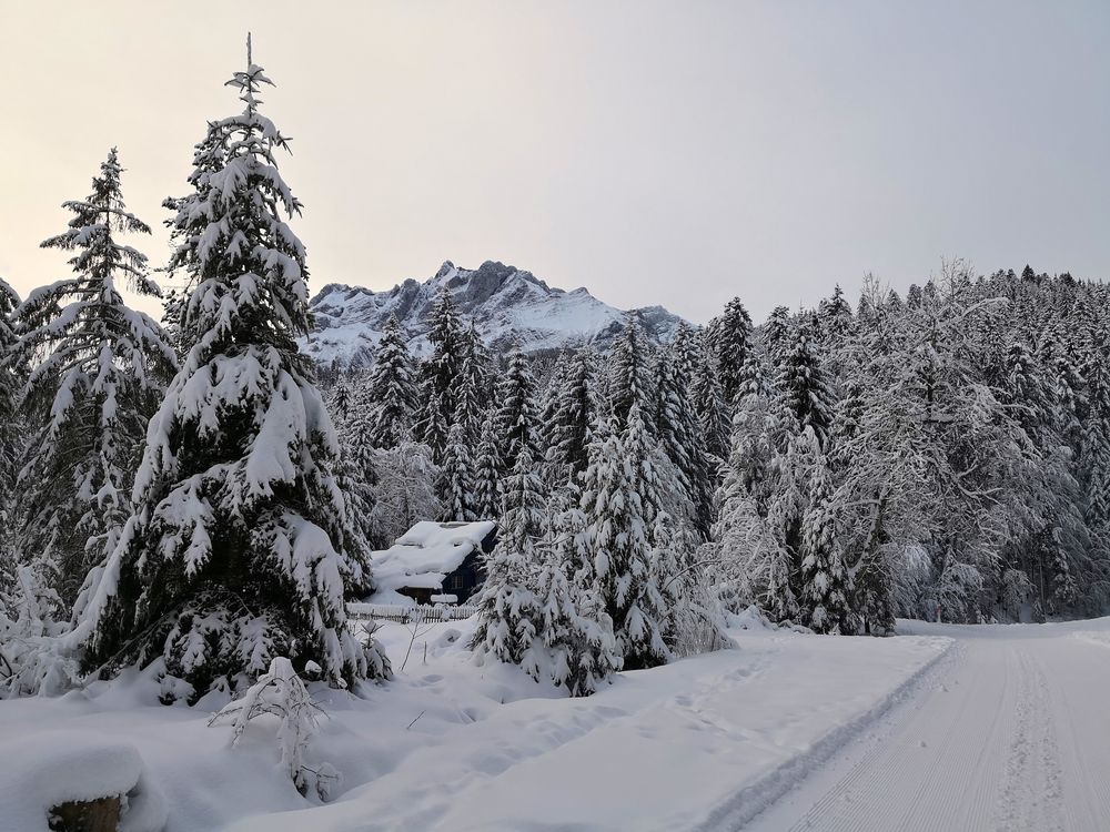 Auf dem Weg zum Pilatus  1