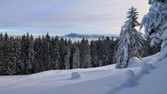 Auf dem Weg zum Pilatus  2