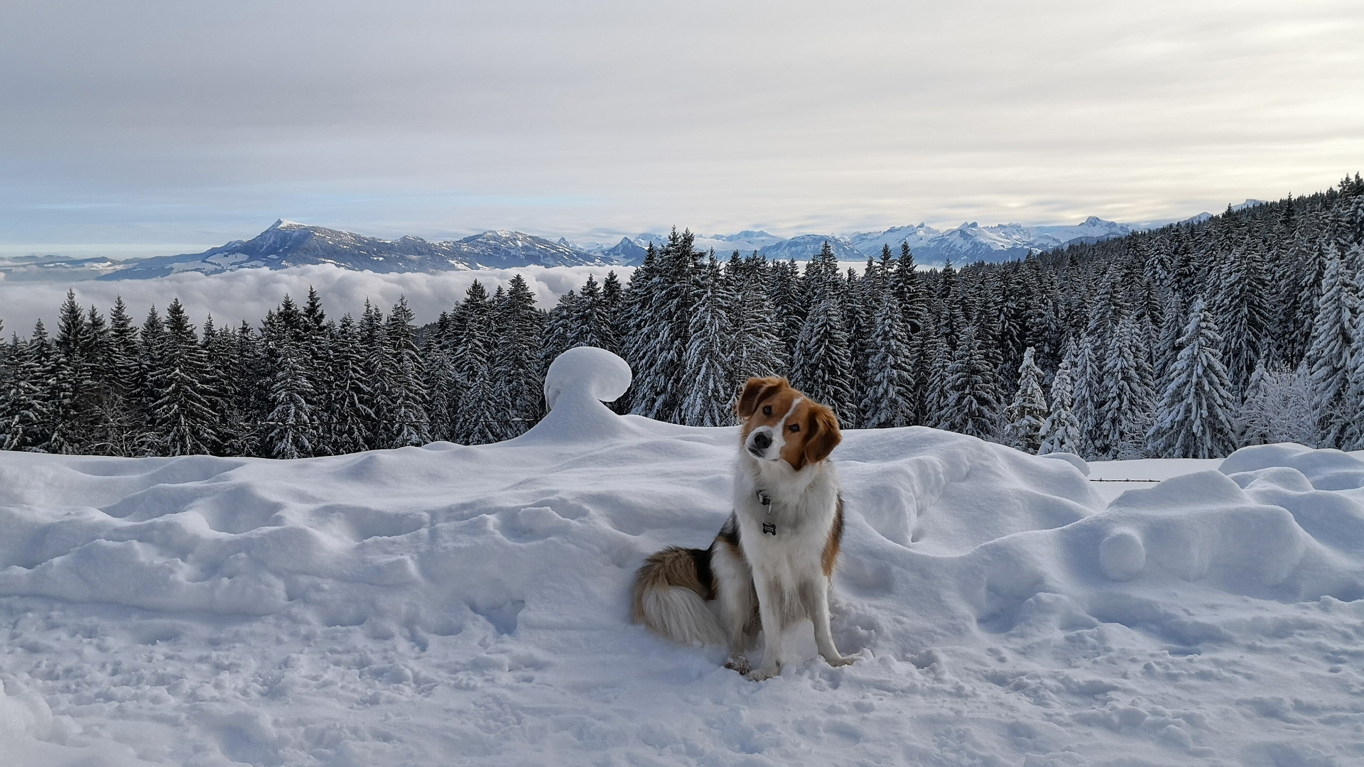 Auf dem Weg zum Pilatus  3