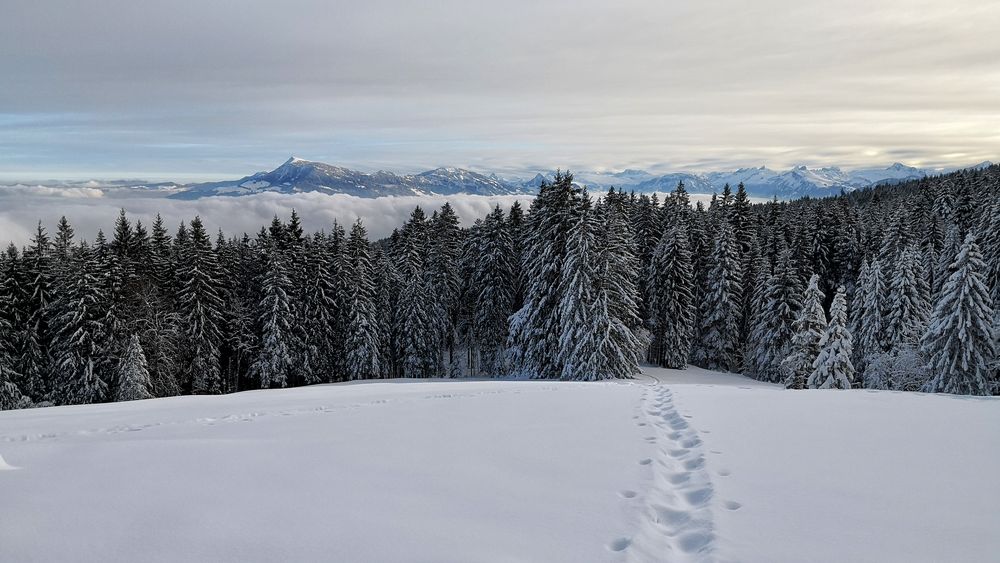 Auf dem Weg zum Pilatus  5