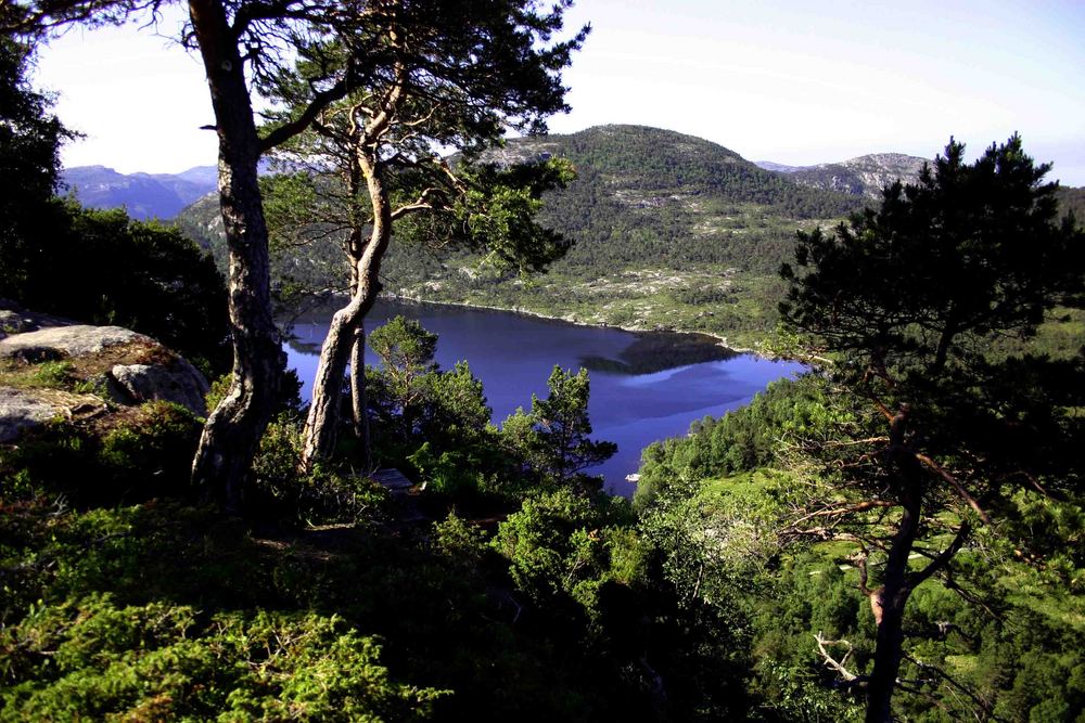 Auf dem Weg zum Prekestolen