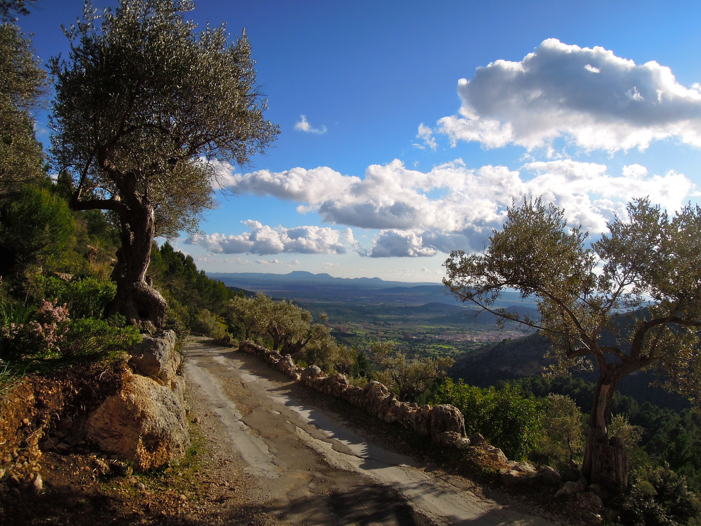 Auf dem Weg zum Puig d' Alaro