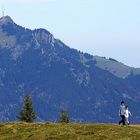 Auf dem Weg zum Rangiswanger Horn