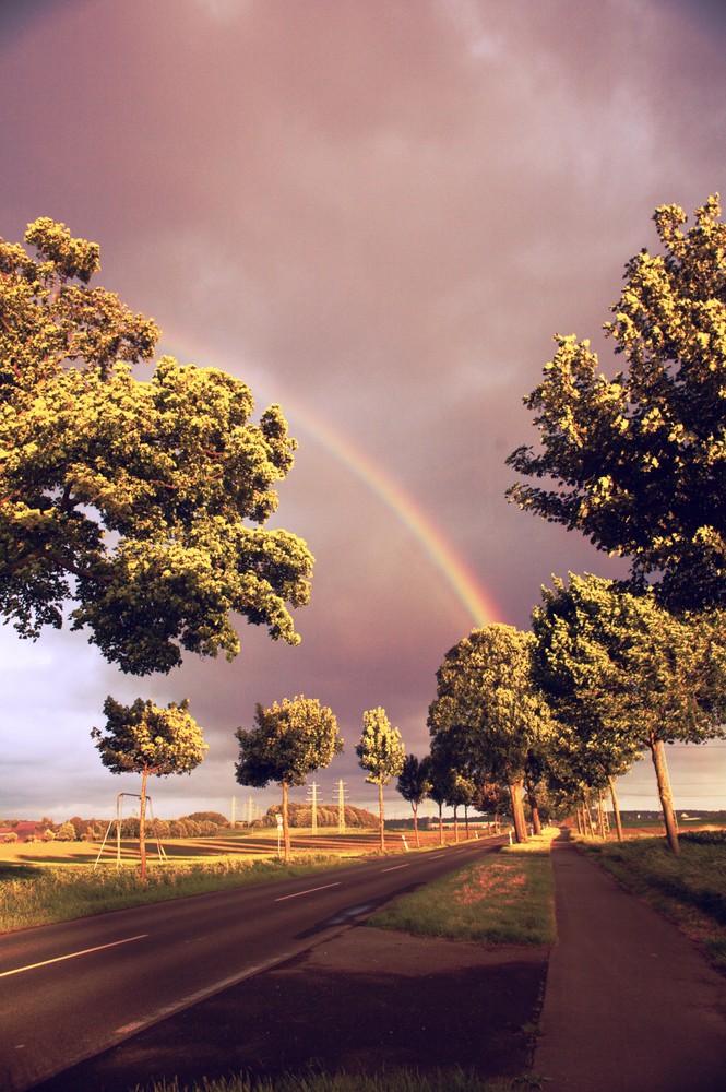 auf dem Weg zum Regenbogen