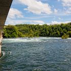 Auf dem Weg zum Rheinfall