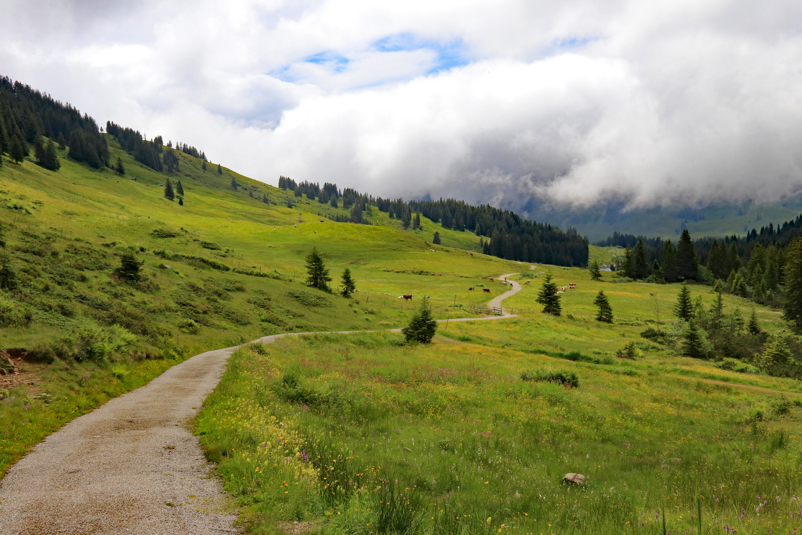 Auf dem Weg zum Riedberger Horn