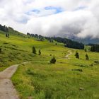 Auf dem Weg zum Riedberger Horn