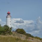 Auf dem Weg zum Sanddorn am Leuchtturm 