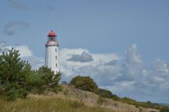 Auf dem Weg zum Sanddorn am Leuchtturm 