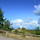 Auf dem Weg zum Sanddorn am Leuchtturm 