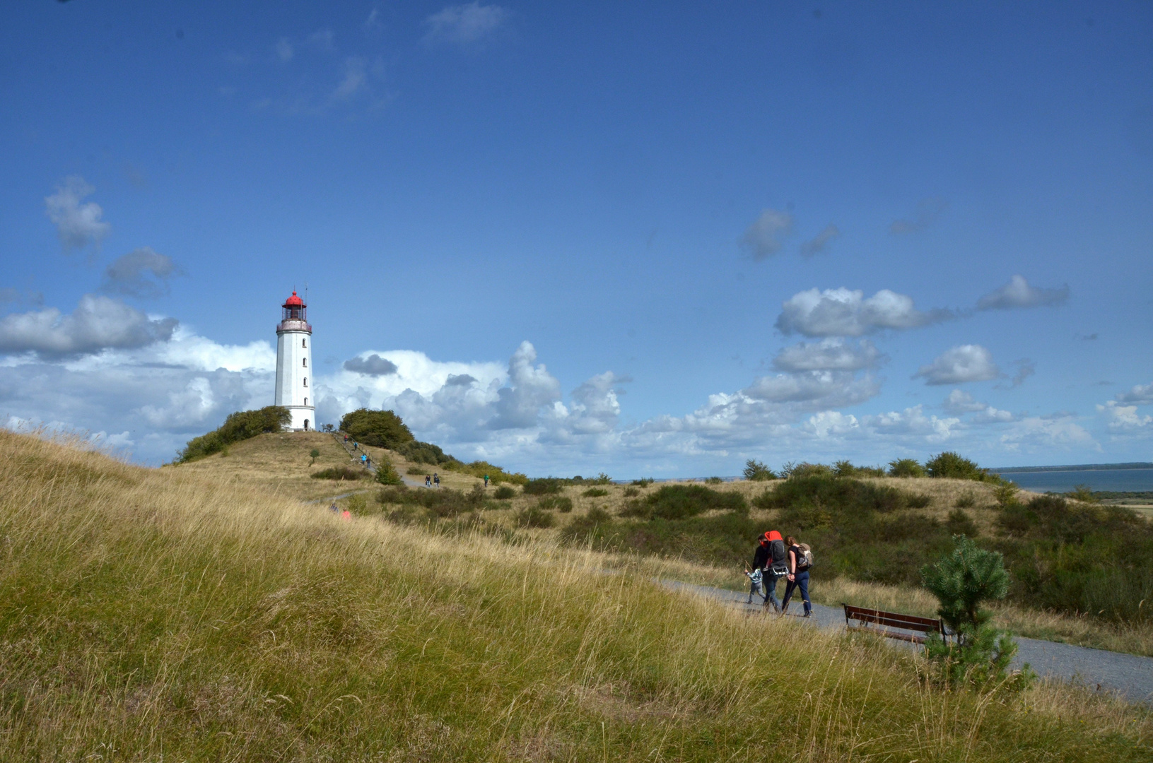 Auf dem Weg zum Sanddorn am Leuchtturm 