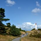 Auf dem Weg zum Sanddorn am Leuchtturm 