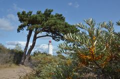 Auf dem Weg zum Sanddorn am Leuchtturm 