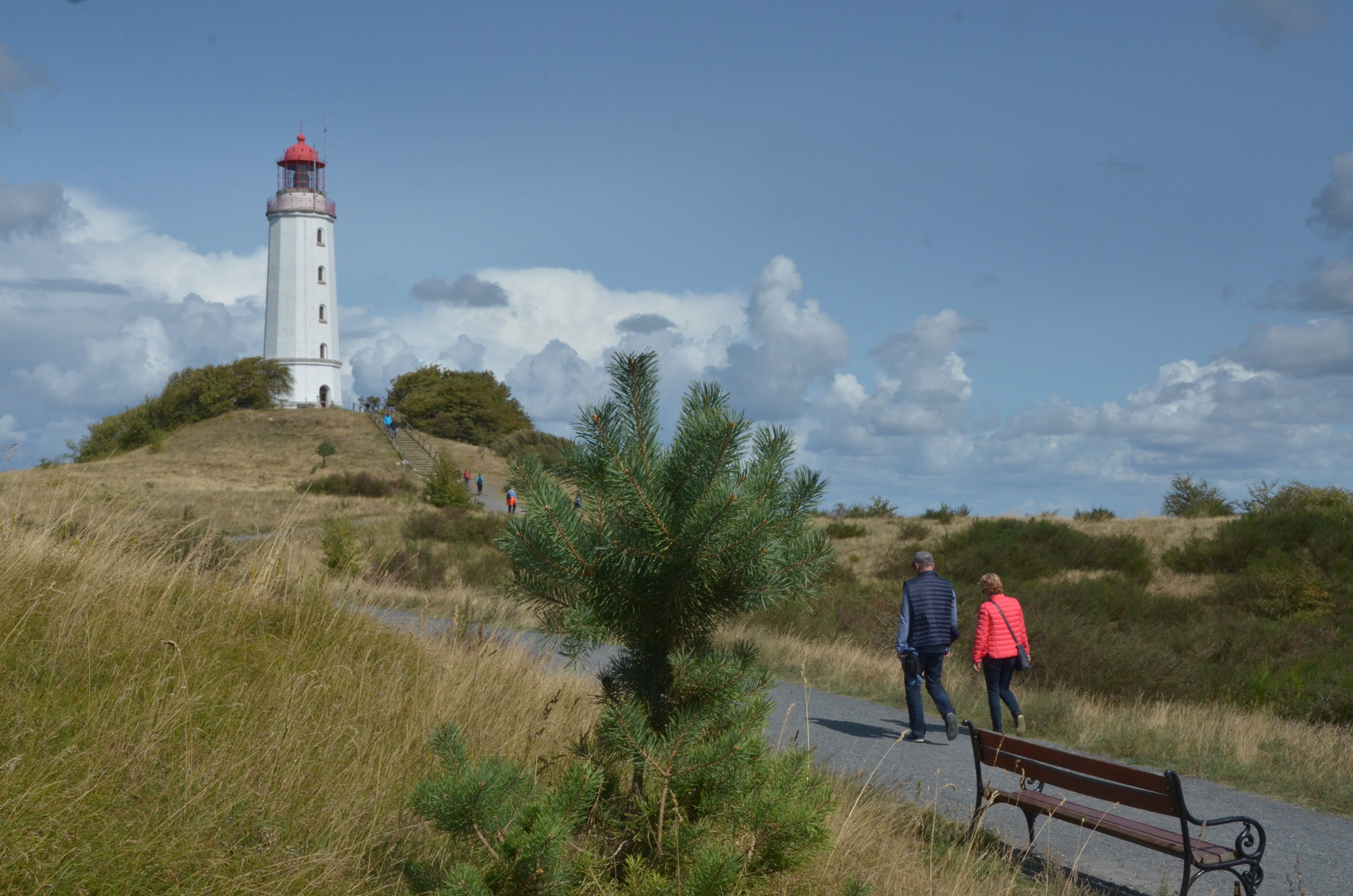 Auf dem Weg zum Sanddorn am Leuchtturm 