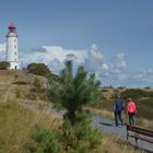 Auf dem Weg zum Sanddorn am Leuchtturm 