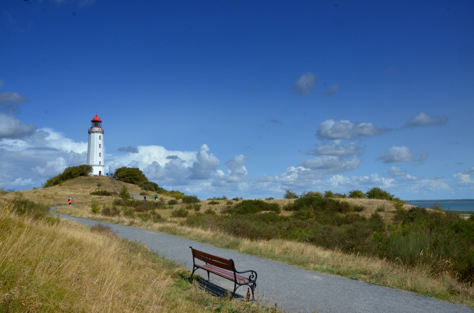 Auf dem Weg zum Sanddorn am Leuchtturm 