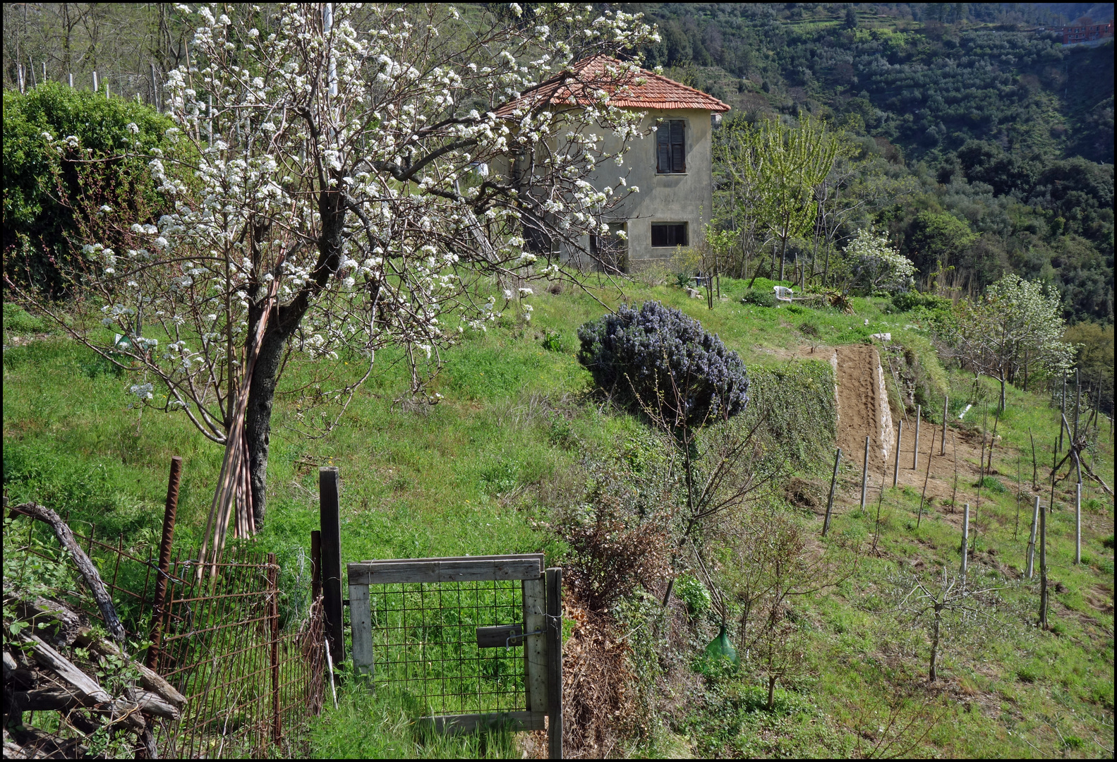 Auf dem Weg zum Santuario di Nostra Signora di Reggio