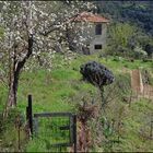 Auf dem Weg zum Santuario di Nostra Signora di Reggio