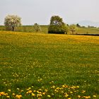 °~ Auf dem Weg zum Schießstand~°