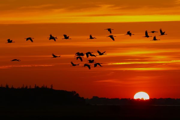 Auf dem Weg zum Schlafplatz