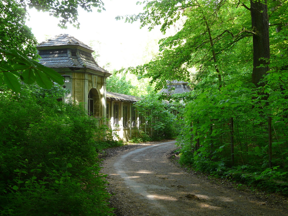 Auf dem Weg zum Schloss