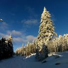 Auf dem Weg zum Schneeberg