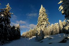 Auf dem Weg zum Schneeberg