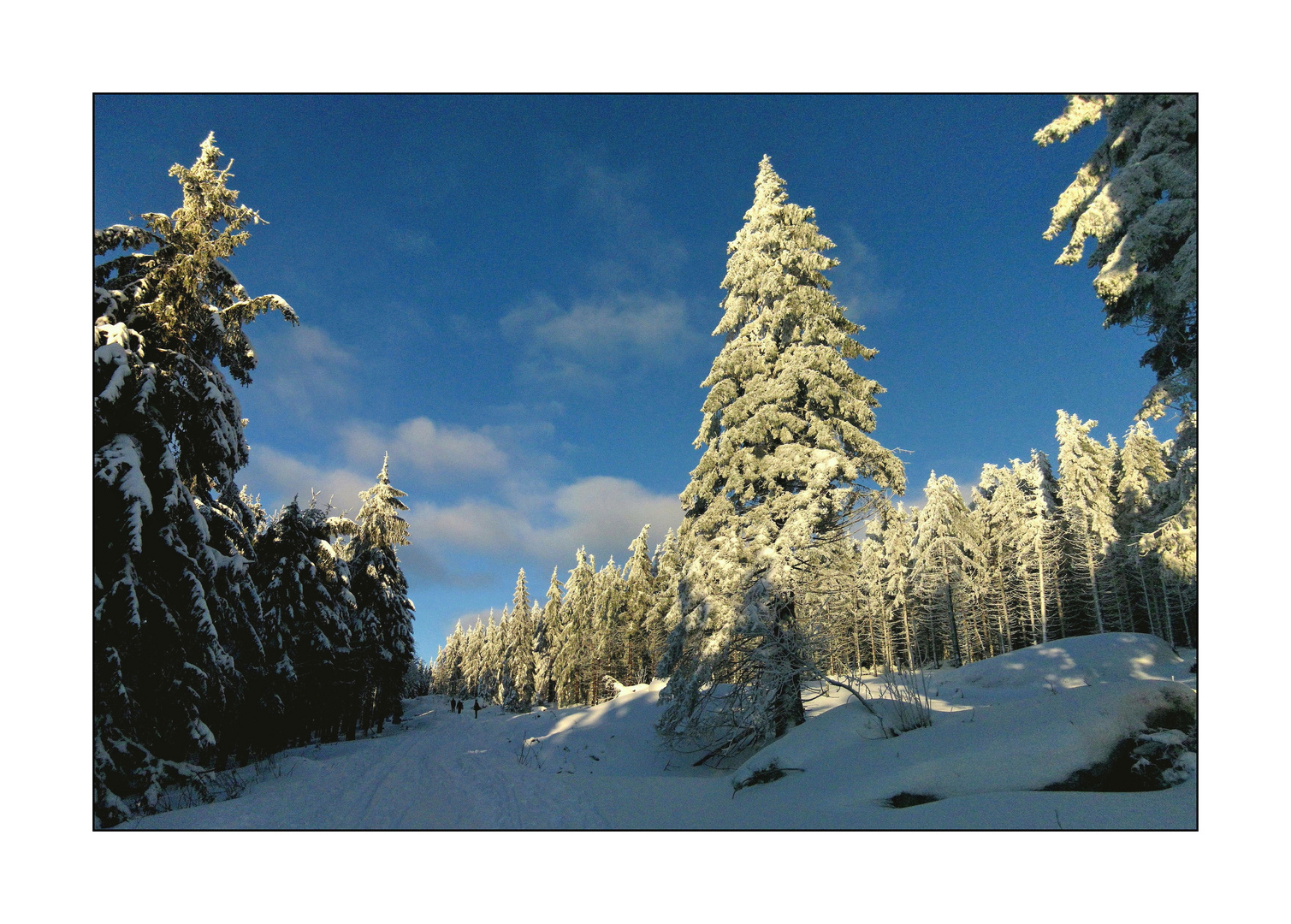 Auf dem Weg zum Schneeberg