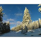 Auf dem Weg zum Schneeberg