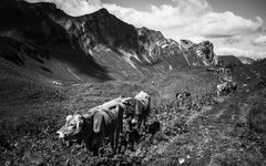 Auf dem Weg zum Schrecksee