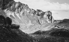 Auf dem Weg zum Schrecksee