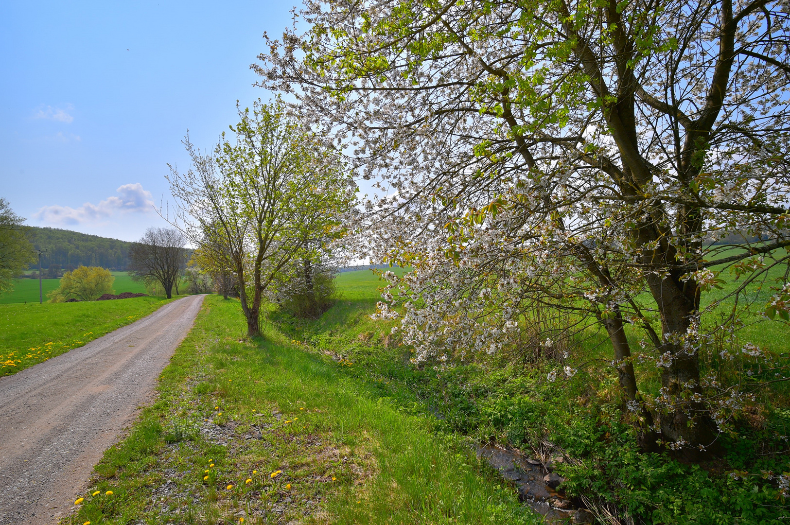 auf dem Weg zum See