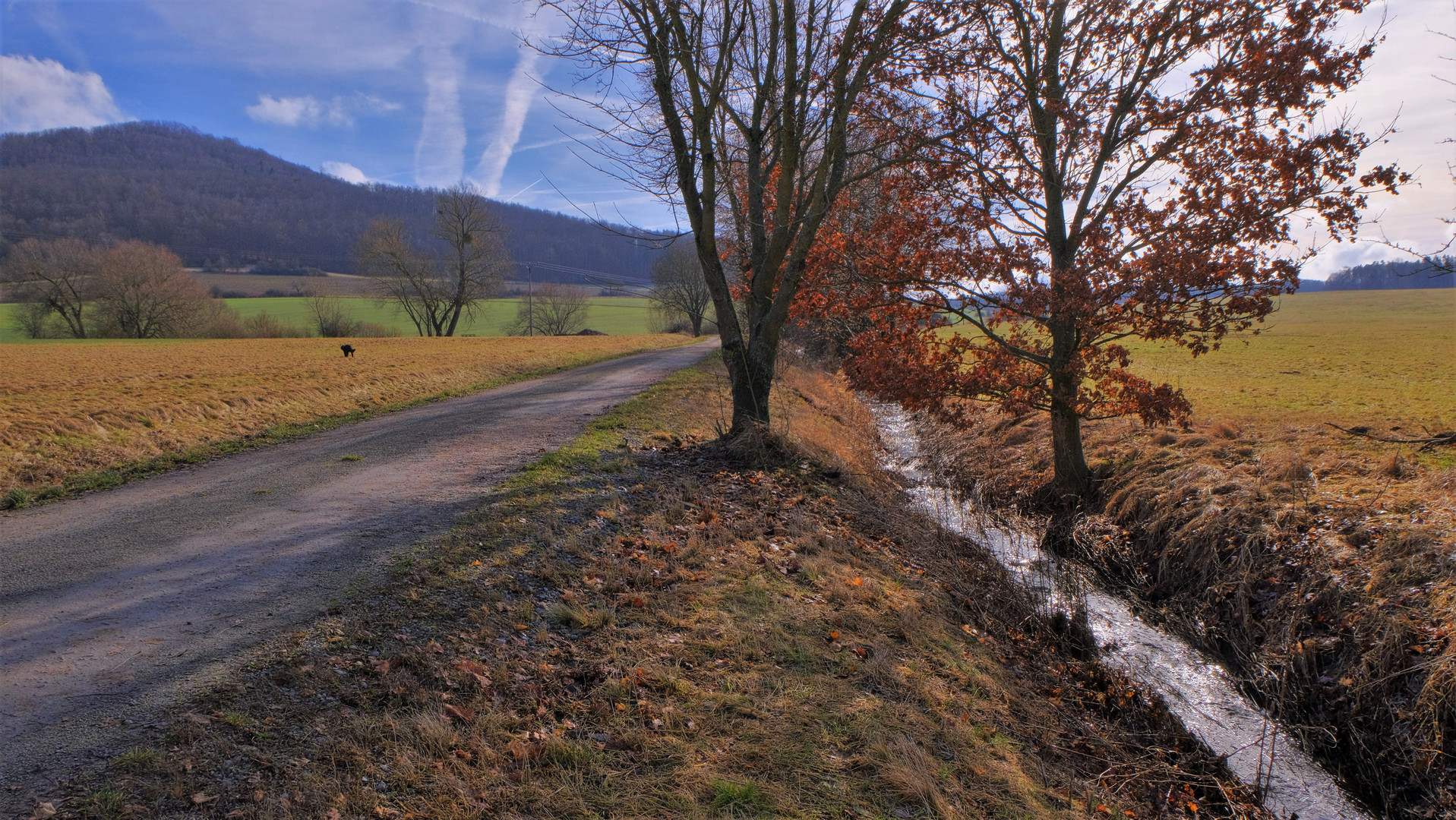 auf dem Weg zum See