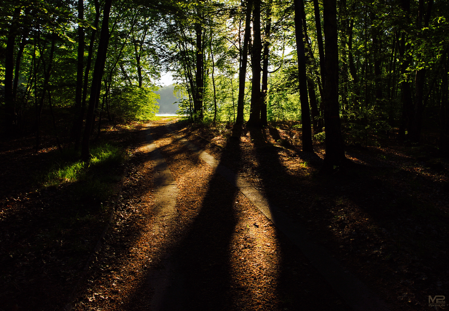 Auf dem Weg zum See ..