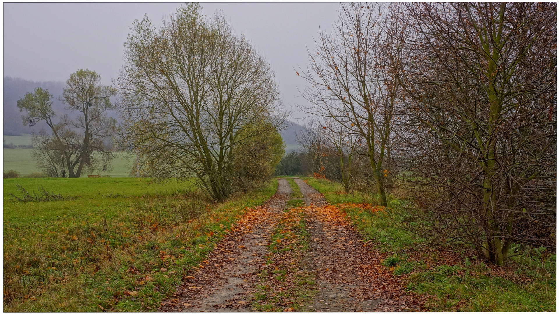 auf dem Weg zum See (en camino al lago)