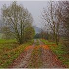 auf dem Weg zum See (en camino al lago)