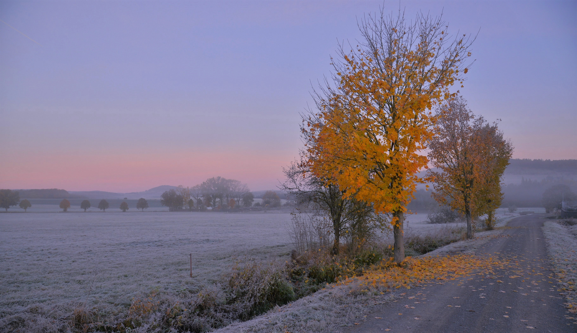 auf dem Weg zum See heute Morgen