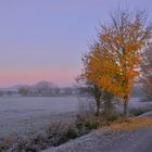 auf dem Weg zum See heute Morgen