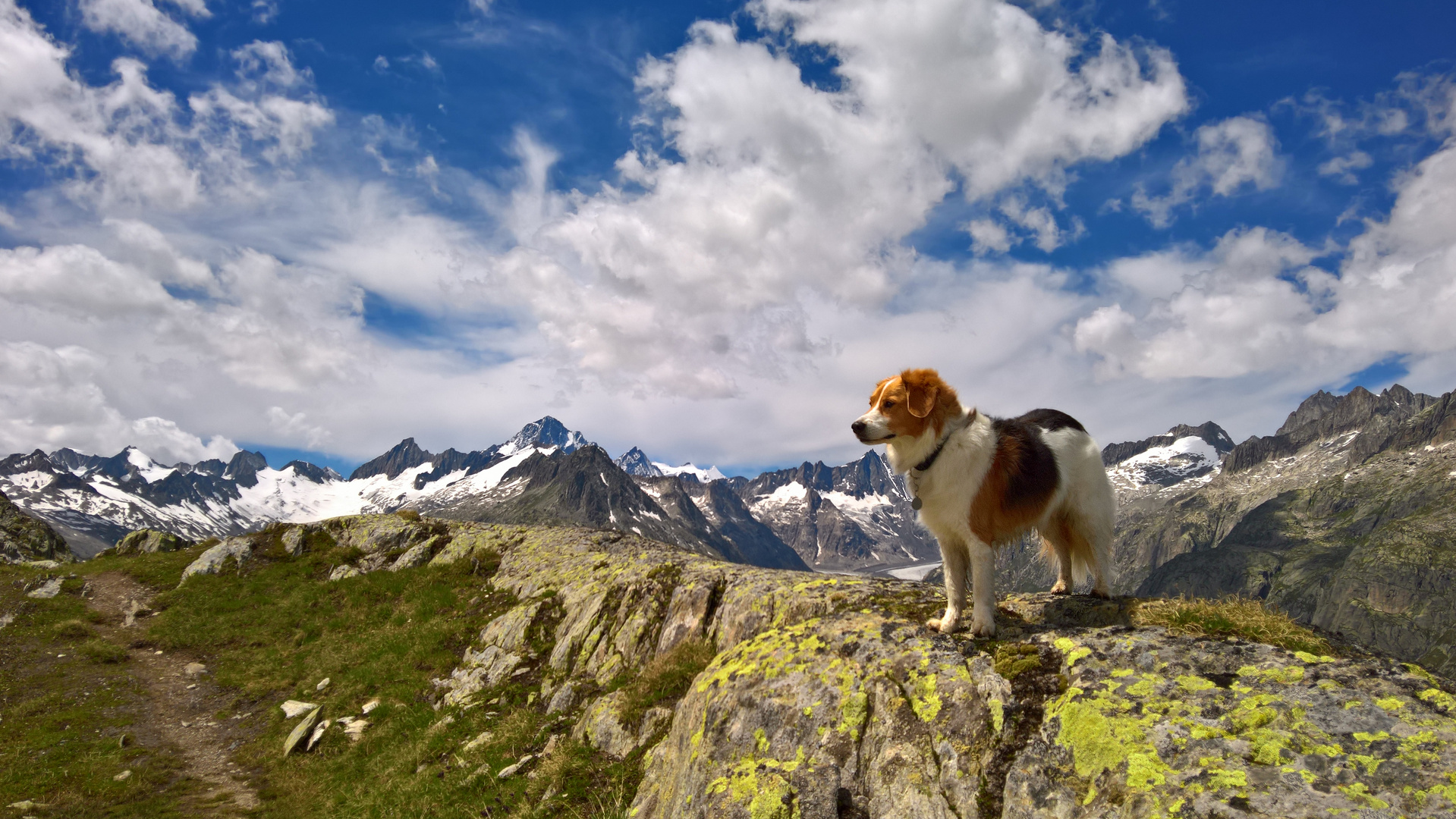 Auf dem Weg zum Sidelhorn 1