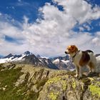 Auf dem Weg zum Sidelhorn 1