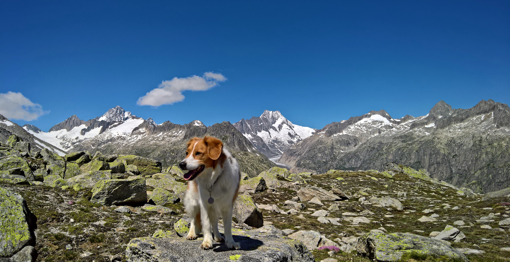 Auf dem Weg zum Sidelhorn 2