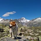 Auf dem Weg zum Sidelhorn 2