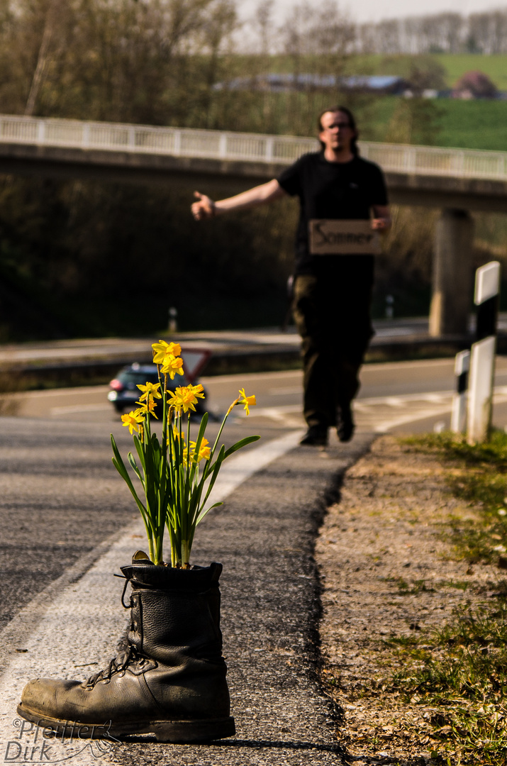 Auf dem weg zum Sommer