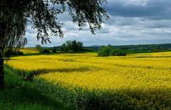 Auf dem Weg zum Sonntagsbäcker ...